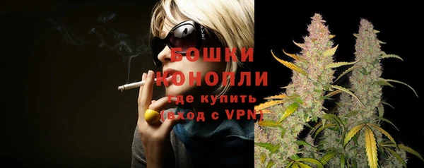 дживик Кулебаки