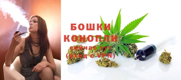 шишки Куйбышев