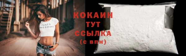дживик Кулебаки
