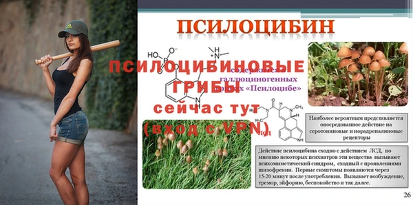 дживик Кулебаки