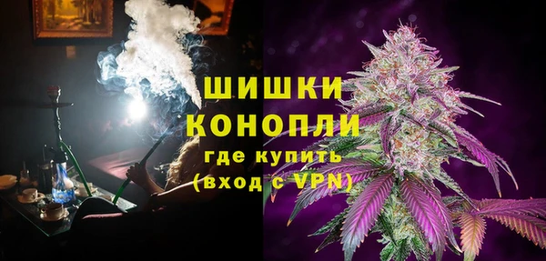 шишки Куйбышев