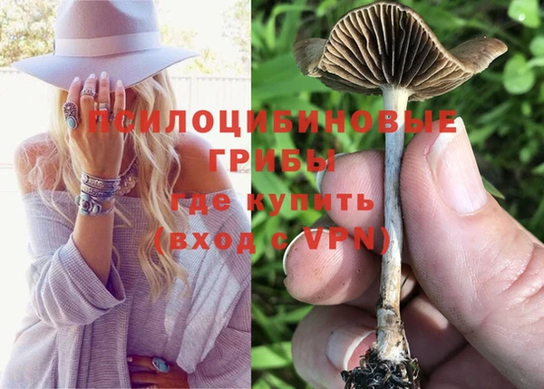дживик Кулебаки