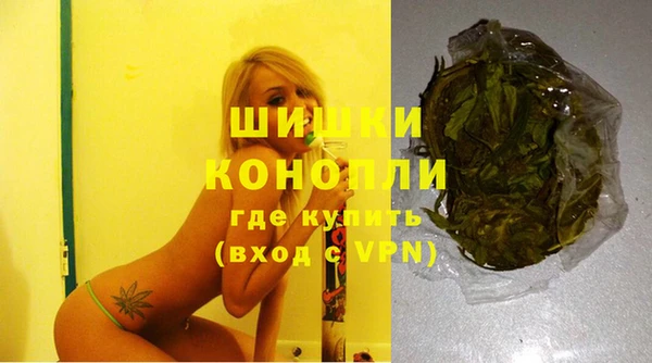 дживик Кулебаки