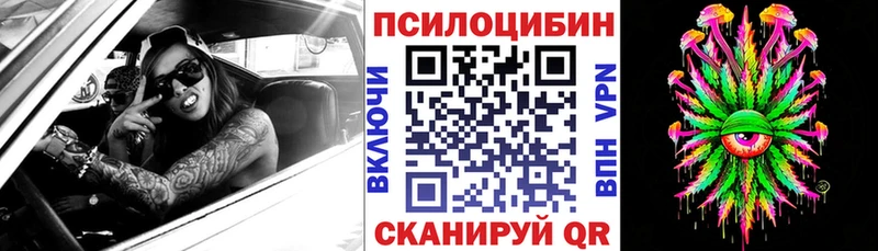 Купить где  Каменск-Уральский  Псилоцибиновые грибы Cubensis 